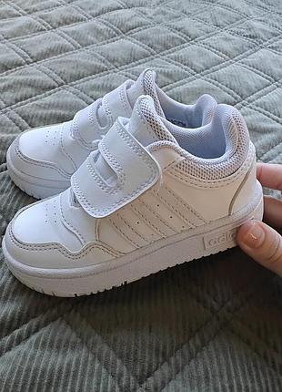 Кросівки дитячі adidas hoops 3.0 cf білі 24 розмір