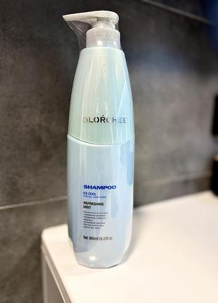 Olorchee ice cool shampoo шампунь для жирної шкіри голови розлив