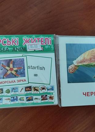 Карточки доманы, морские жители, украинский и английский