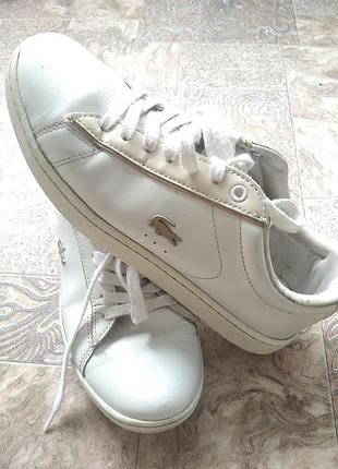 Кросівки lacoste білі шкіряні