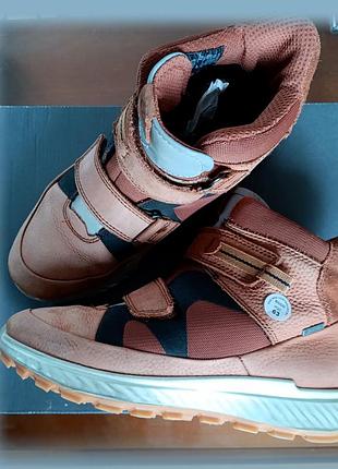 Черевики ecco натуральна шкіра gore-tex устілка 24 см розмір 38