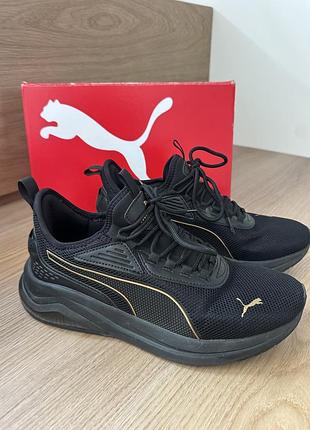 Кросівки puma унісекс