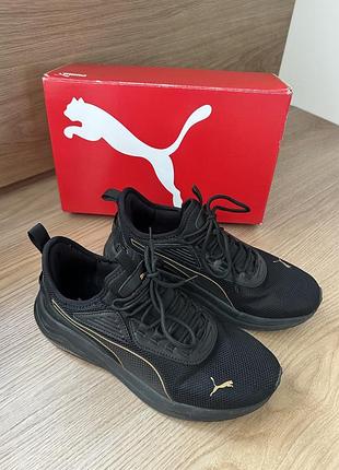 Кросівки puma унісекс 2