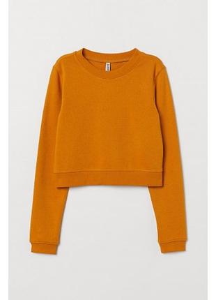 Гірчичний світшот від h&m