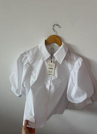 Нова котонова сорочка zara🌿 5