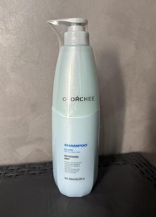 Olorchee ice cool shampoo шампунь для жирної шкіри голови розлив