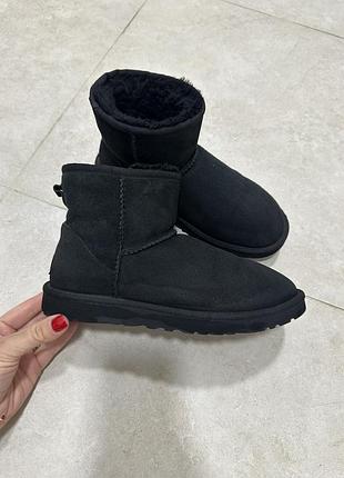 Ugg угг оригінал