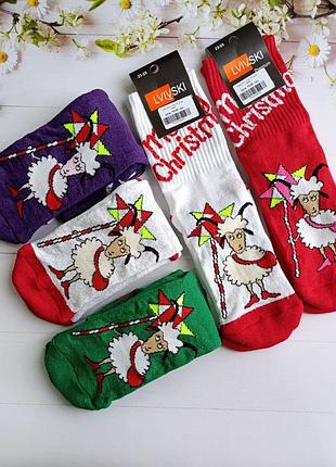 Шкарпетки махрові merry christmas коза 2027 lvivski premium, р.23-25 (36-39)