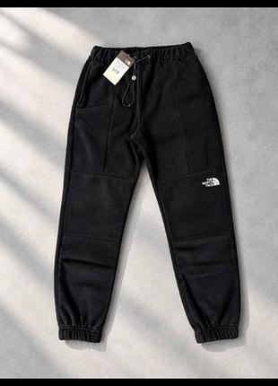 Штани the north face polartec