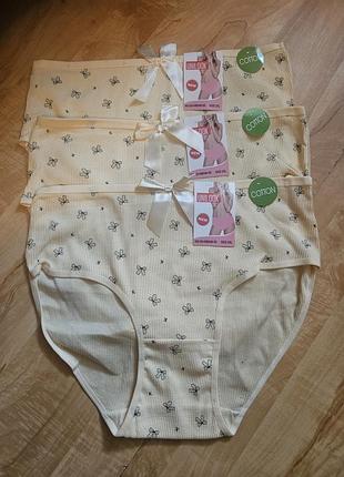 Трусики котоновые 2xl