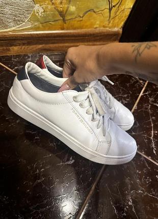 Шкіряні кеди 37,5р. tommy ❤️ 4