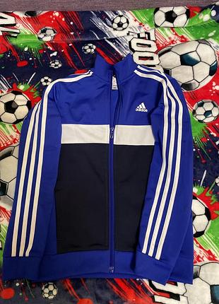 Спортивна кофта adidas синя на змійці зі смужками