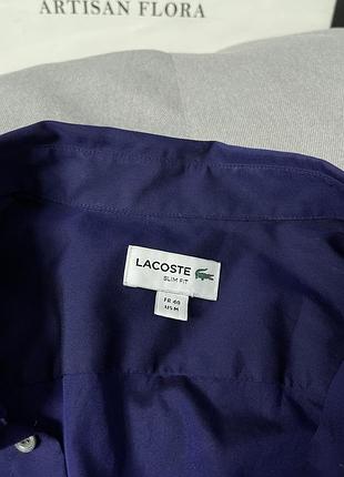 Сорочка lacoste оригінал m бавовна 6
