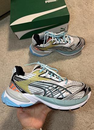 Кросівки puma velophasis always on white/porcelain різнокольорові