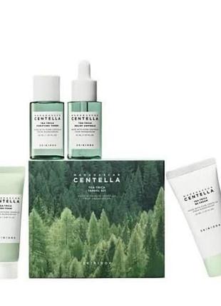 Набір з чайним деревом для проблемної і жирної шкіри skin1004 madagascar centella tea-trica travel kit
