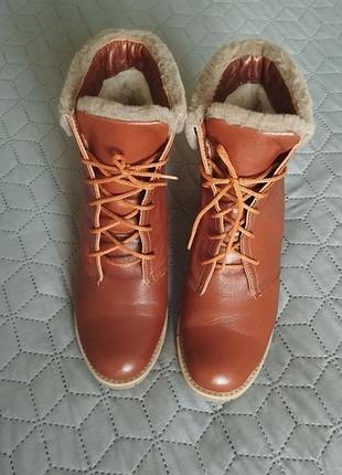 Женские зимние ботильоны vera blum, made in italy 5