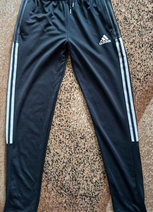 Спортивные штаны фирмы adidas оригинал