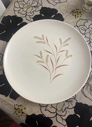 Порцелянові 2 тарілки з вінтажного сервізу royal doulton, модель meadow glow (код d6443), виготовлену в англії (приблизно в 1955–1964 роках).