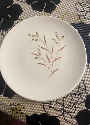 Тарілки 2 штуки royal doulton meadow glow діаметр 21 сантиметр