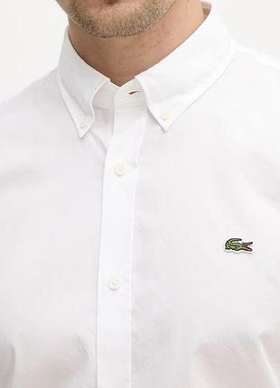 Чоловіча сорочка lacoste біла з довгим рукавом