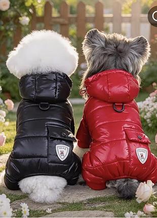 Стильний двосторонній зимовий комбінезон для песика 🐾 (2 в 1!)