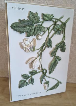 Вінтажне 3d панно барельєф marks & spencer clematis cirrhosa (англія, полістоун)