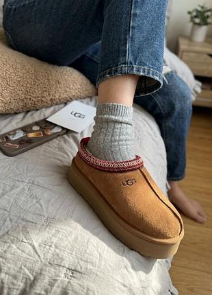 Ugg tasman platform chestnut