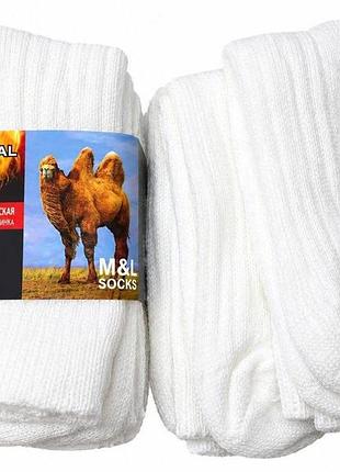 Шкарпетки жіночі 36-41 білий m&l socks 25171