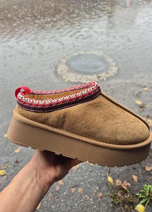 Жіночі зимові капці ugg tazz slipper замшеві на платформі