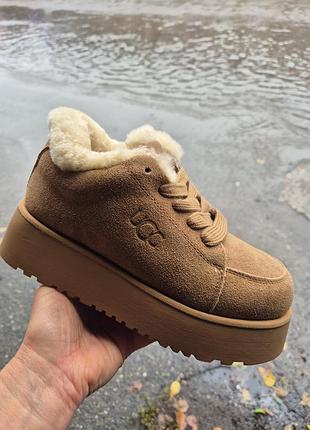 Уггі жіночі ugg замшеві зимові на платформі зі шнурівкою