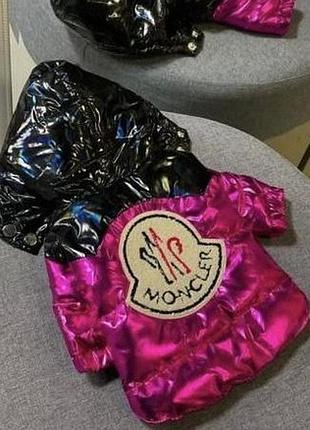 Куртка moncler зимова для тварин s, m, l