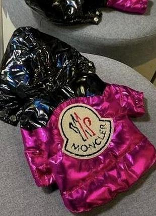 Для тварин зимова куртка moncler s, m, l