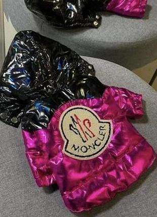 Moncler куртка зимова для тварин s, m, l