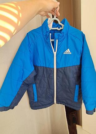 Куртка дитяча adidas синьо-блакитна 116-122 см