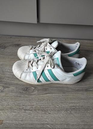 Кросівки adidas superstar біло-зелені