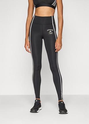 Легінси adidas