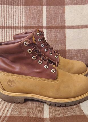 Чоловічі черевики timberland
