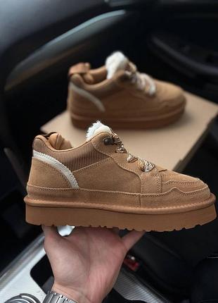 Жіноі уггі ugg lowmel sneaker beige | 38–41