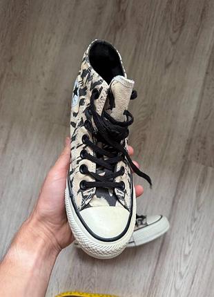Круті леопардові converse chuck taylor на платформі 6