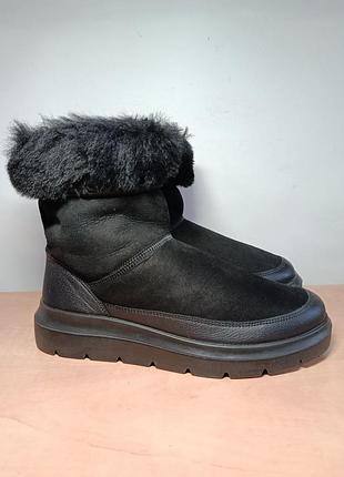 Черевики зимові жіночі ecco nouvelle 36-41р.