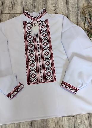 Мужская вышитая рубашка, ручной работы, с сеткой