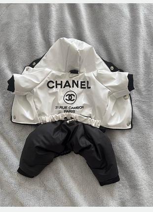 Комбінезон теплий chanel для маленького песика
