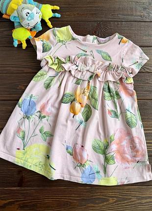 Рожева сукня ted baker