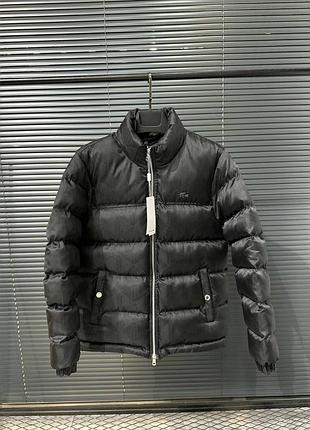 Новинка мужская зимняя куртка lacoste