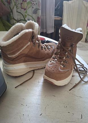Чоботи унісекс ugg зимові бежеві 42 розмір