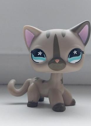 Lps littlest pet shop лпс літлест пет шоп петшоп кішка стоячка сіра littelest pet shop фігурки іграшки фігурка іграшка петс шопы петсшопы лсп хасбро