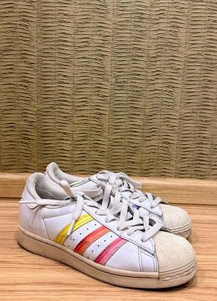 Кросівки adidas superstar pride gw2415 білі різнокольорові