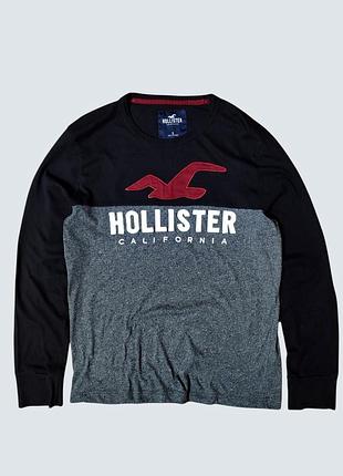 Чоловічий логслів hollister california