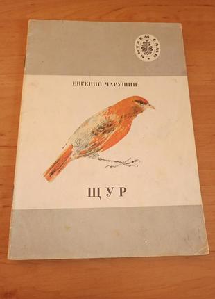 Евгений чарушин крыса рассказы для детей 1991 г.
