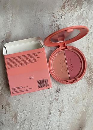 Рум'яна da lish powder blush duo 4
